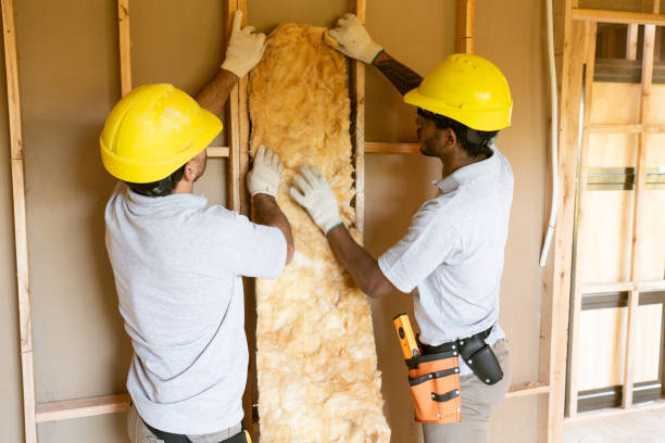 Best Garage Insulation  in Woodhaven, MI